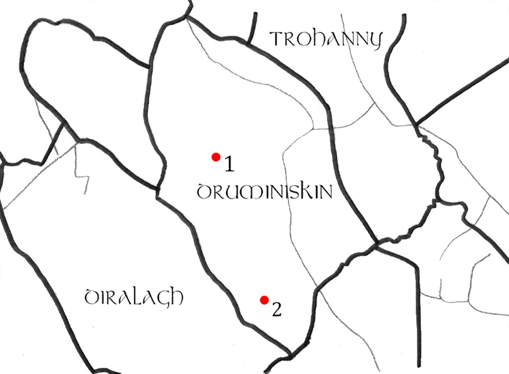 A map of Druminiskin townland