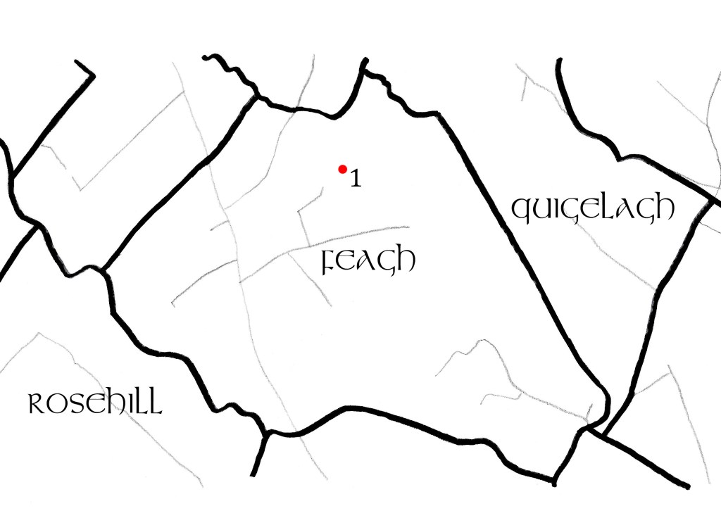 A map of Feagh townland