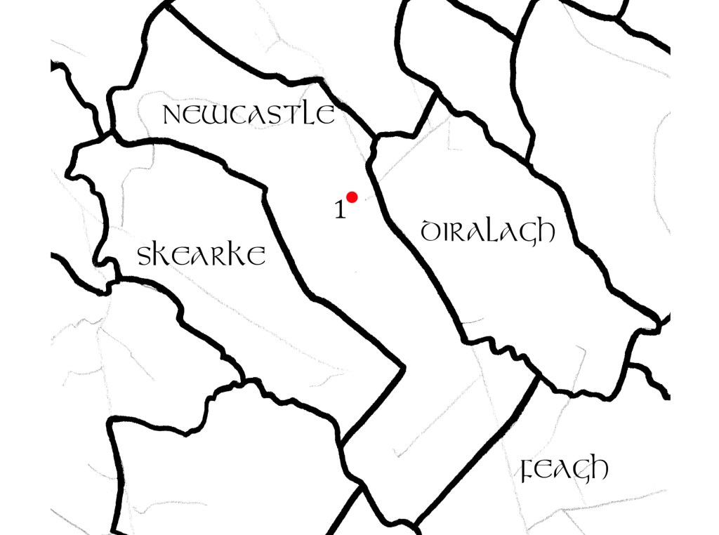 A map of Newcastle townland