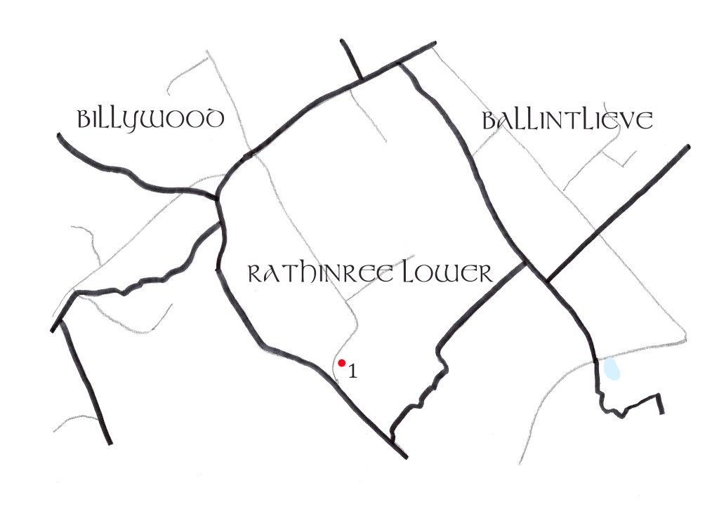 A map of Rathinree Lower townland