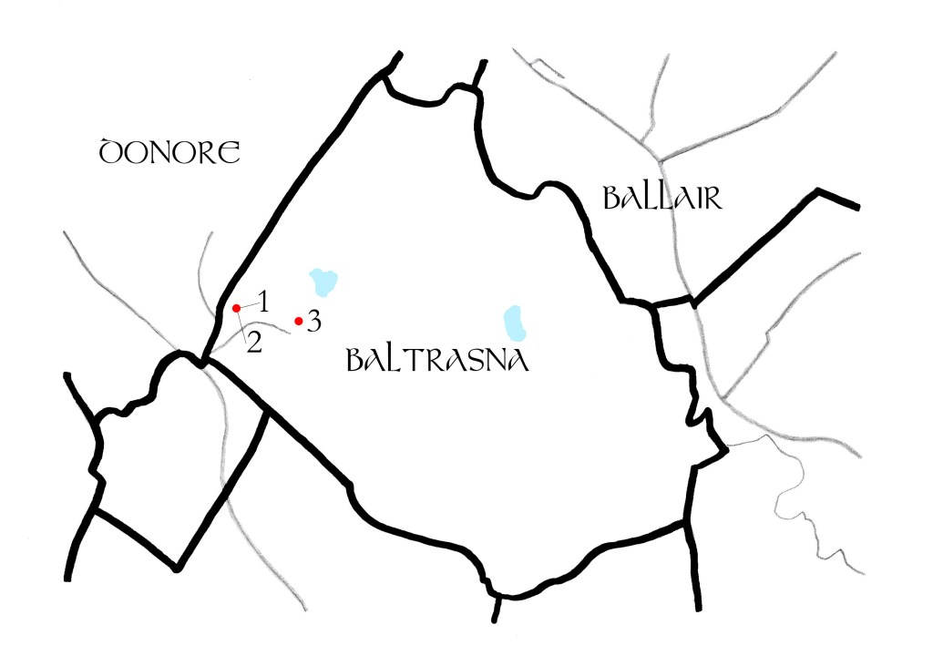 A map of Baltrasna townland