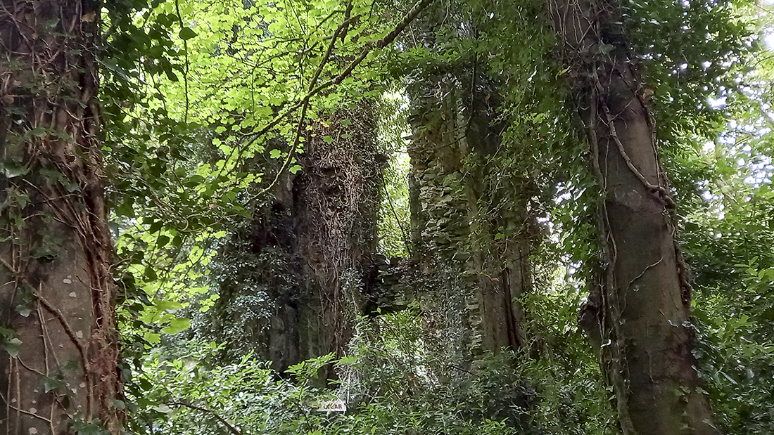 A photo of the ruin built on the site of Fleming's Castle in Cabra, Cavan.