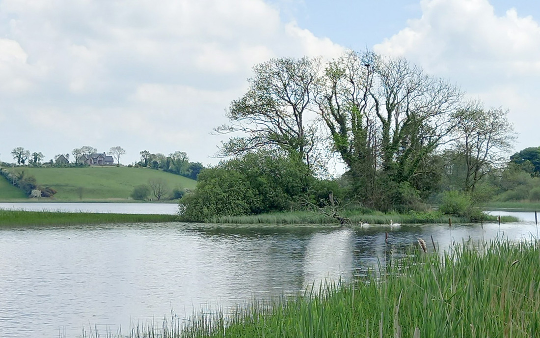 A photo of the crannog on Ervey Lake, 2021