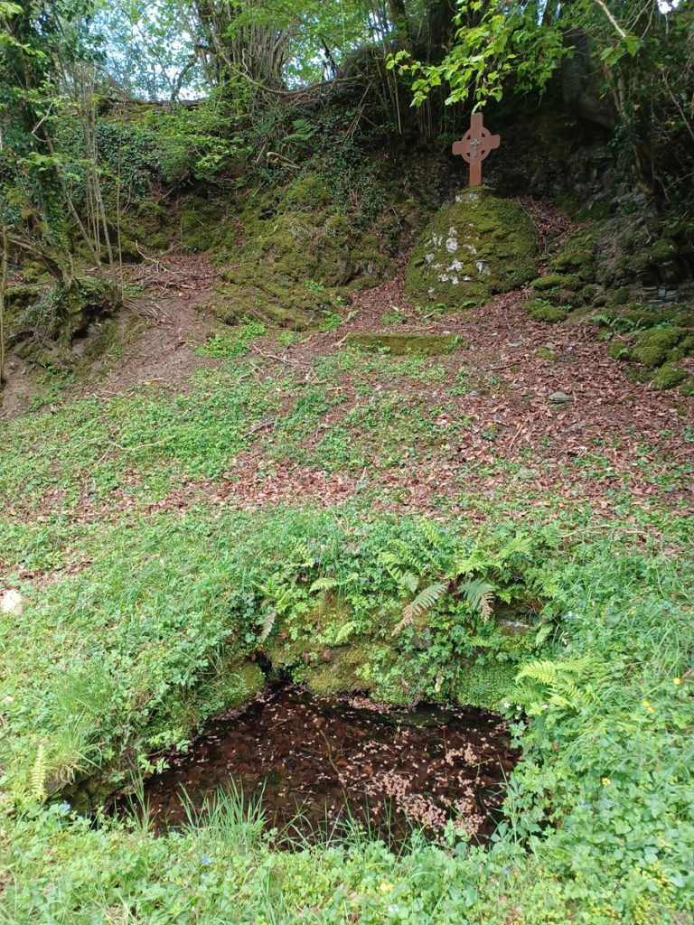 St. Patricks Well at Shancor, Co.Meath